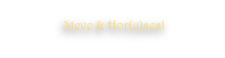 Steve & Hor(u)ses!
